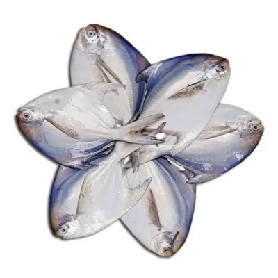 Rupchanda Fish